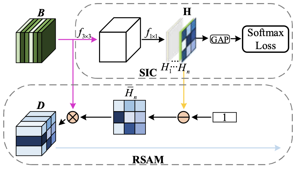 rsam